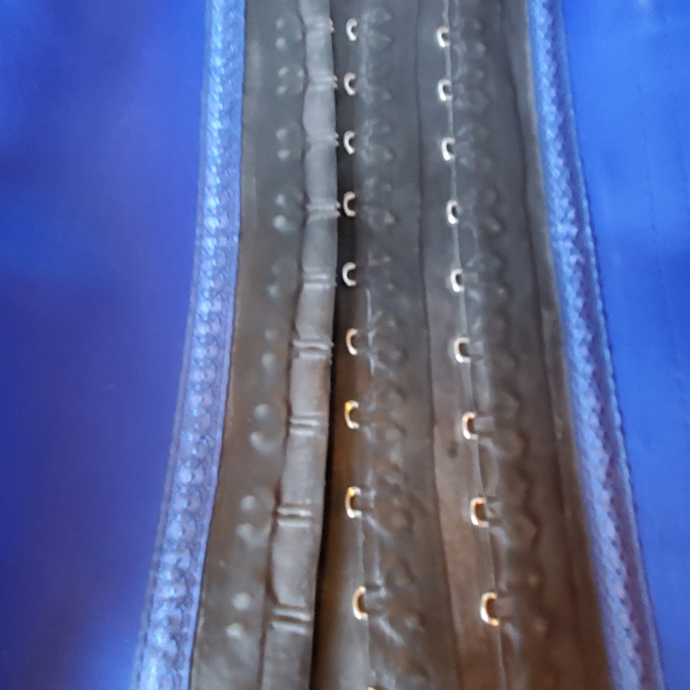 NWOT Ann Cherry Waist trainer girdle size 36 Blue